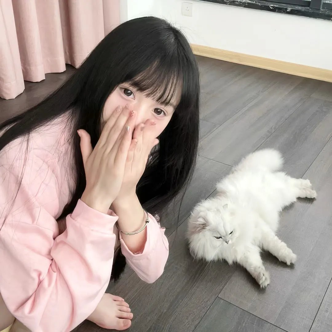 风云决