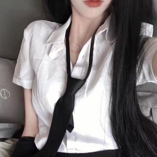 白天鹅